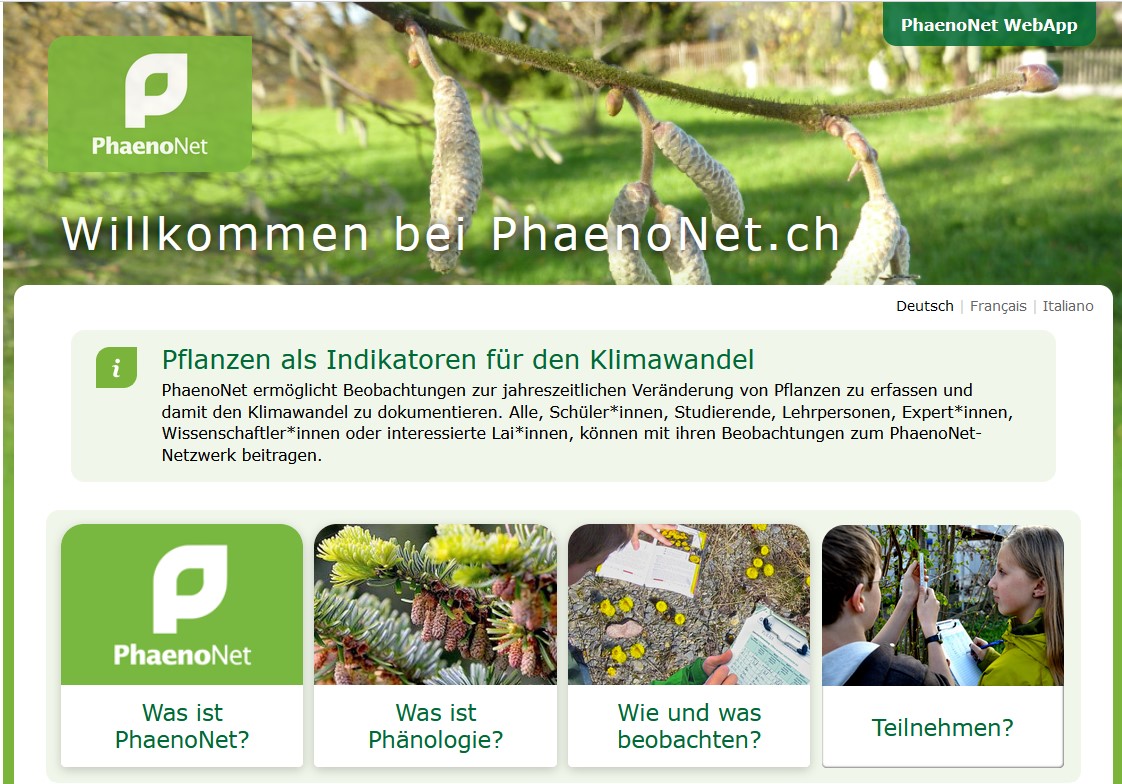  zur PhaenoNet-Website